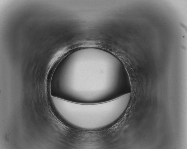 X0000097300296200802151129