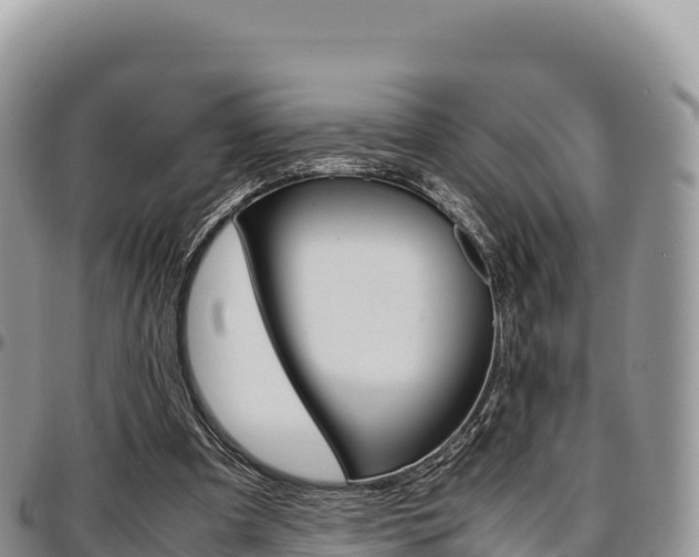 X0000097300297200802151129