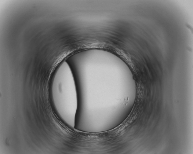 X0000097300298200802151129