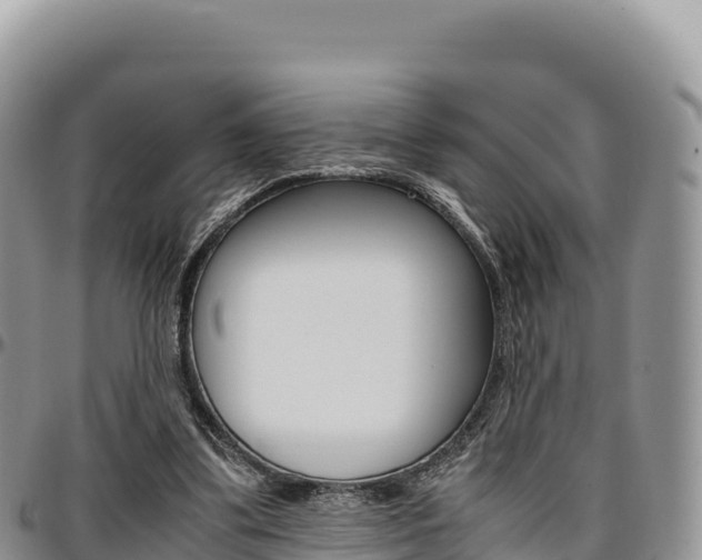 X0000097300299200802151129