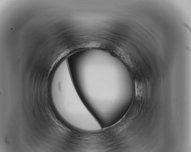 X0000097300300200802151129