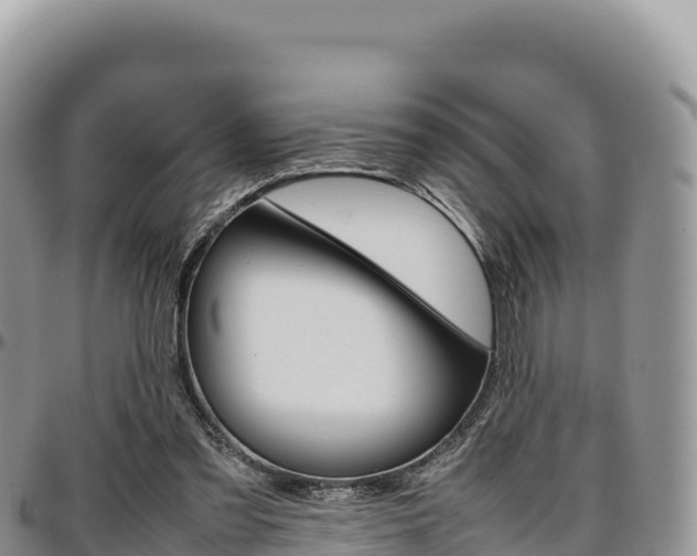 X0000097300301200802151129