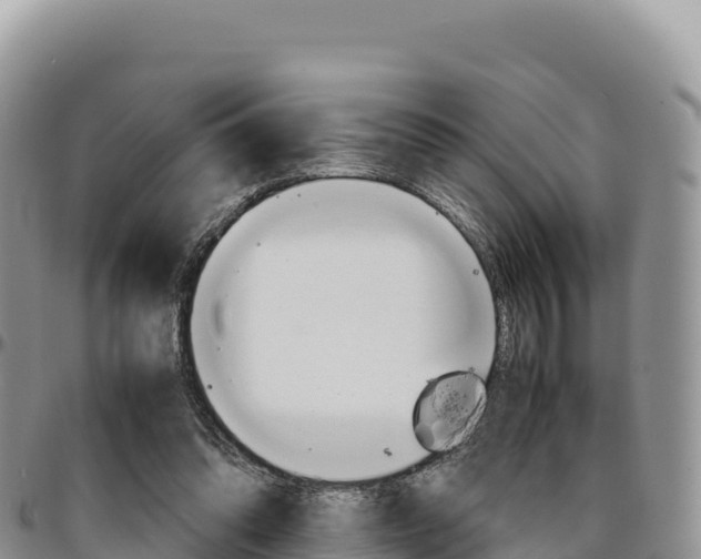 X0000097300302200802151129
