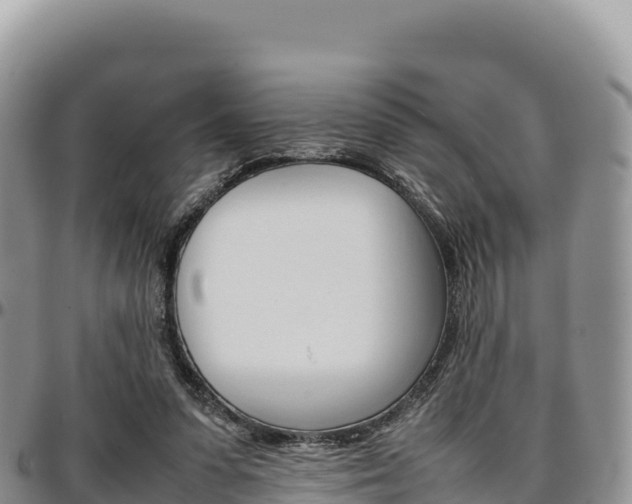 X0000097300303200802151129