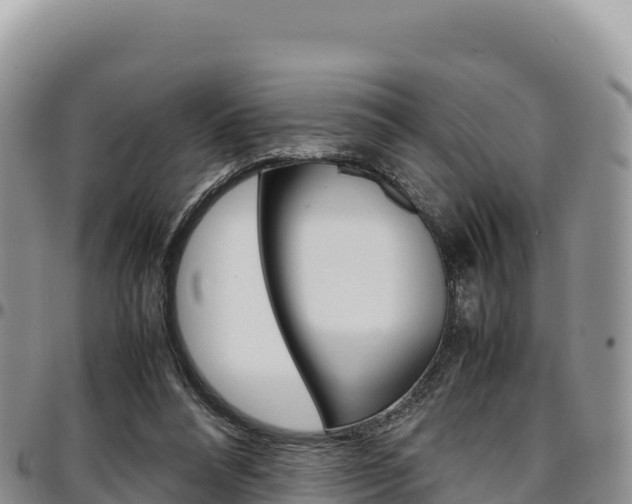 X0000097300304200802151129