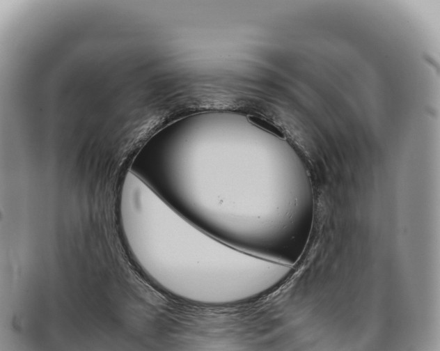 X0000097300305200802151129