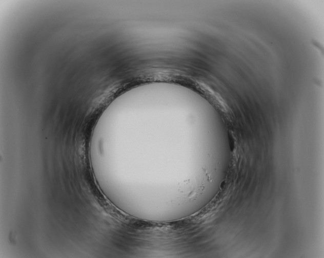 X0000097300306200802151129