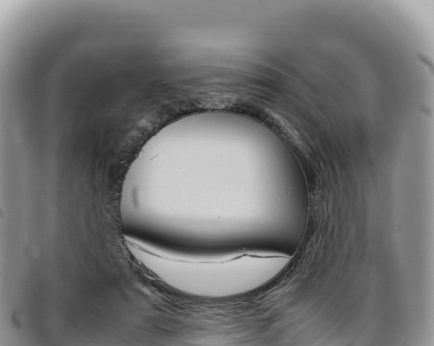 X0000097300307200802151129