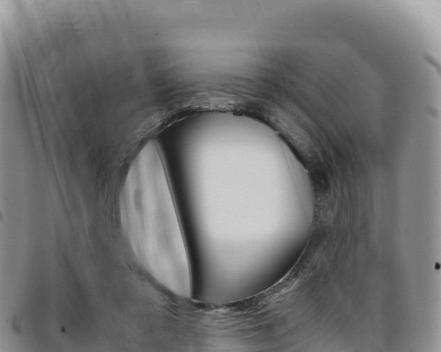 X0000097300309200802151128