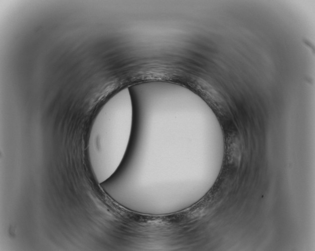 X0000097300310200802151128