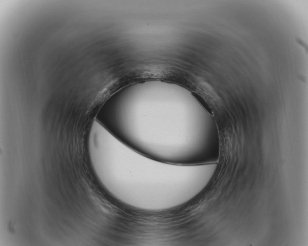 X0000097300312200802151128