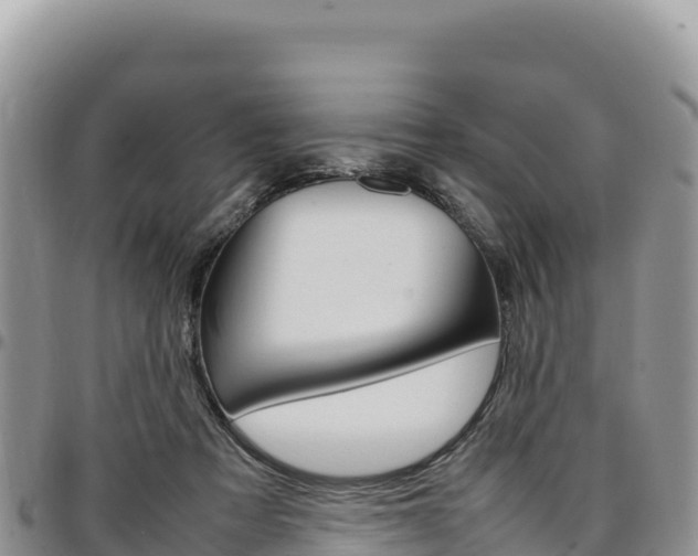X0000097300313200802151128