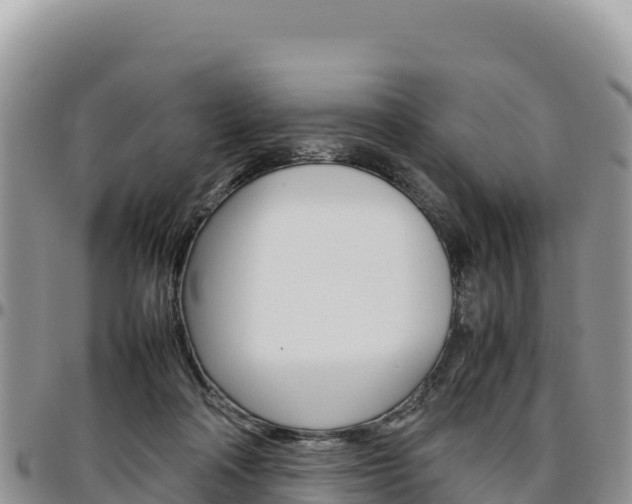 X0000097300314200802151128