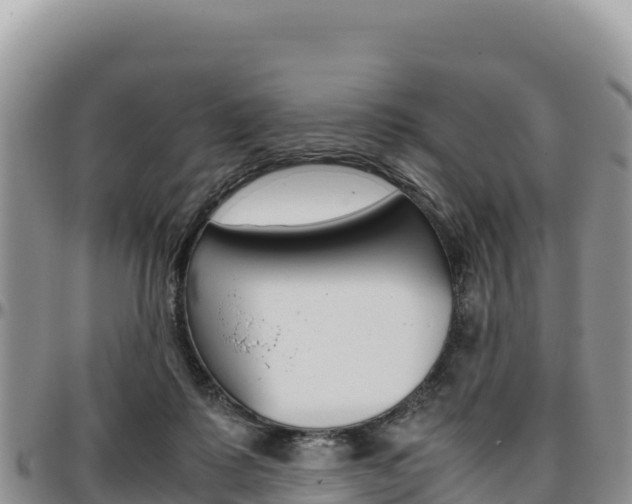 X0000097300315200802151128
