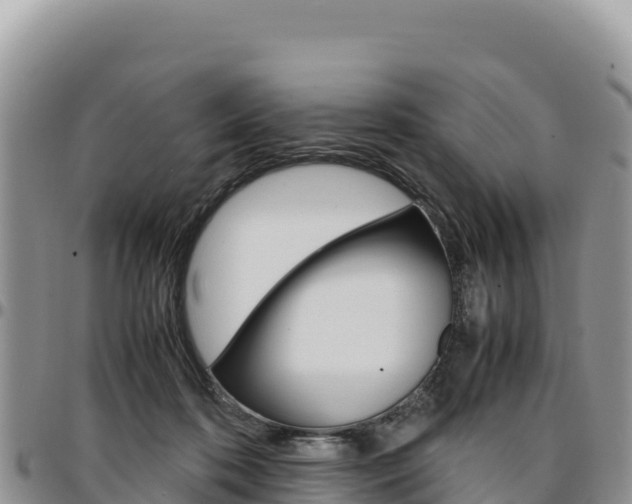 X0000097300316200802151128