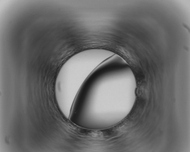 X0000097300317200802151128