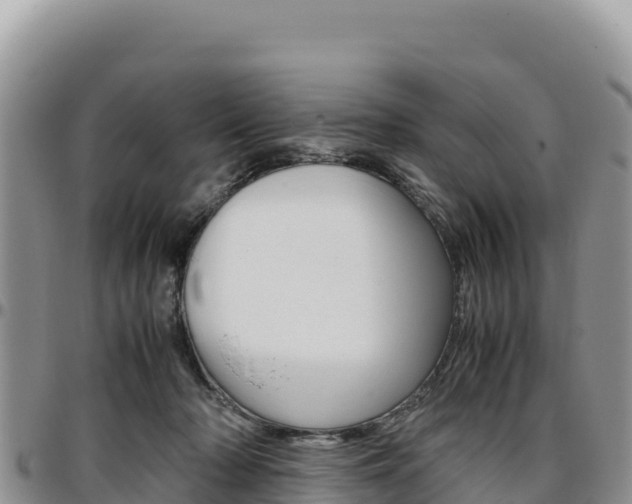 X0000097300318200802151128