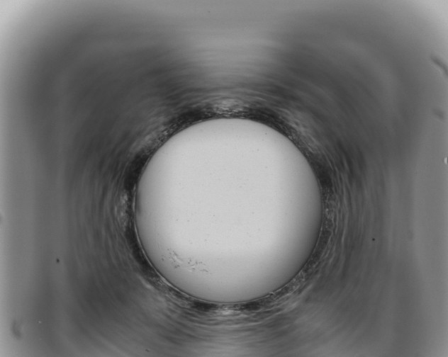 X0000097300319200802151128