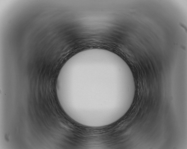 X0000097300320200802151128
