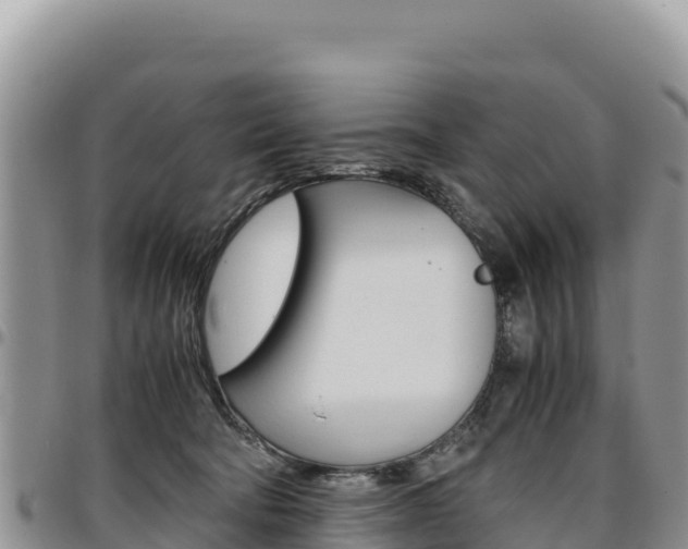 X0000097300322200802151128