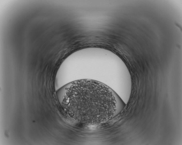 X0000097300323200802151128