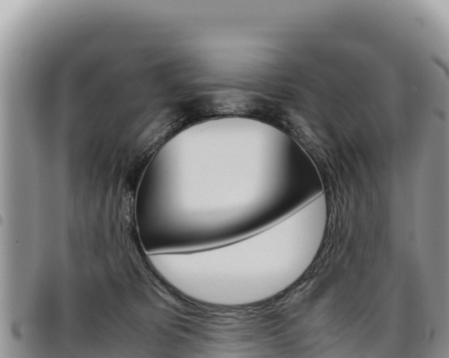 X0000097300325200802151128