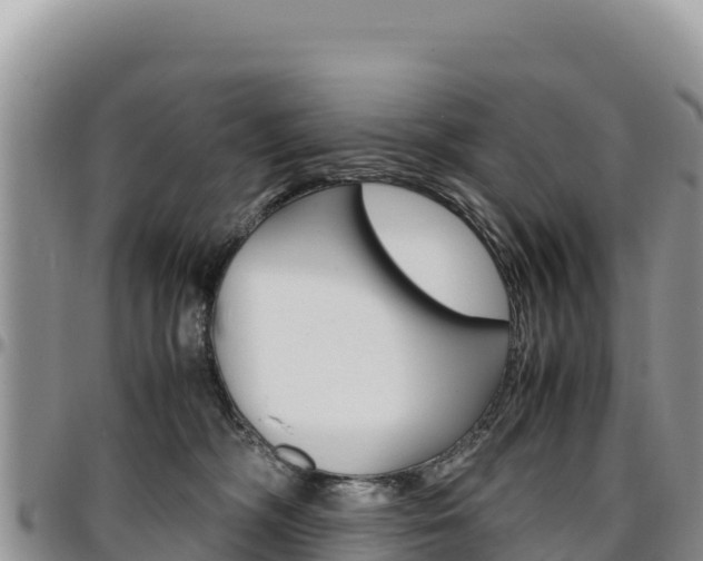 X0000097300326200802151128