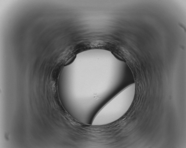 X0000097300327200802151128