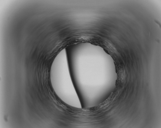 X0000097300328200802151128