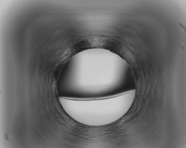 X0000097300329200802151128