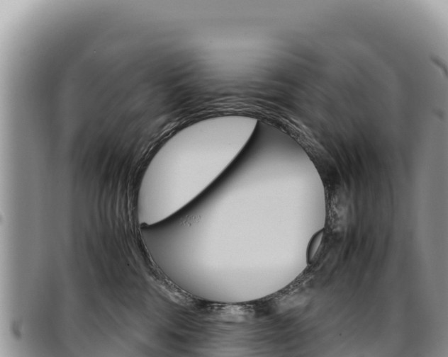 X0000097300330200802151128