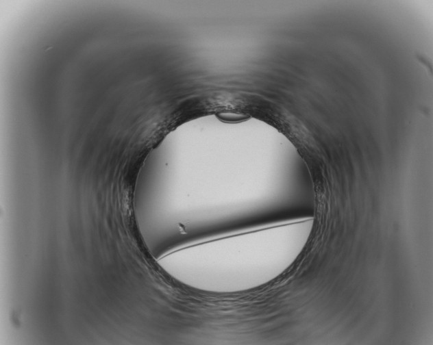 X0000097300331200802151128