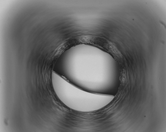 X0000097300332200802151128