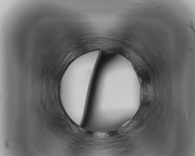 X0000097300333200802151128