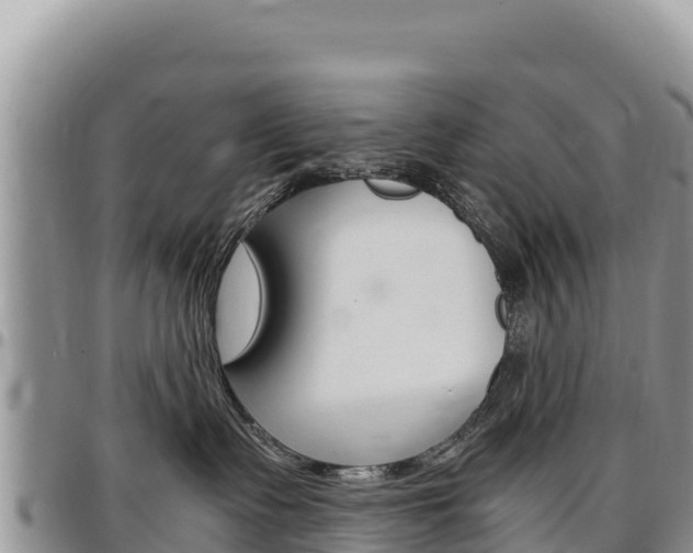 X0000097300335200802151128