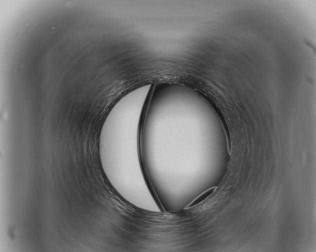 X0000097300336200802151128