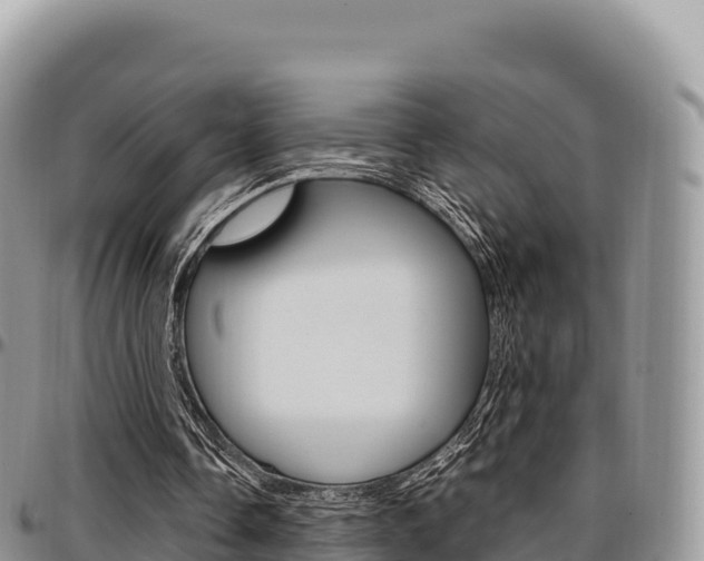 X0000097300338200802151127