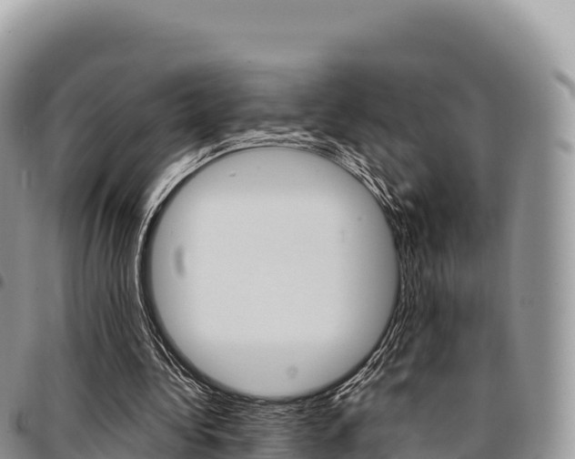 X0000097300340200802151127