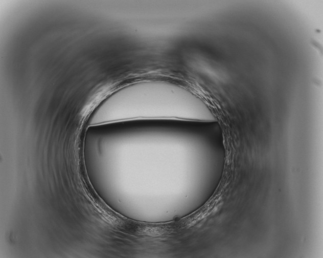 X0000097300341200802151127