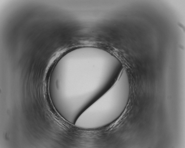 X0000097300342200802151127