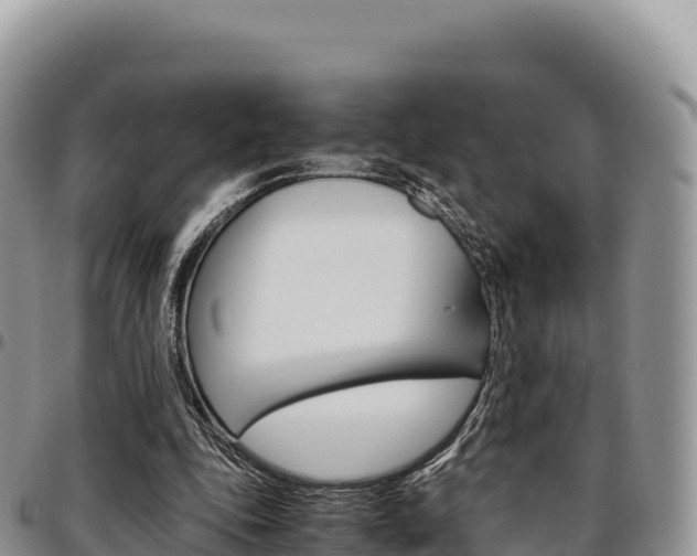 X0000097300343200802151127