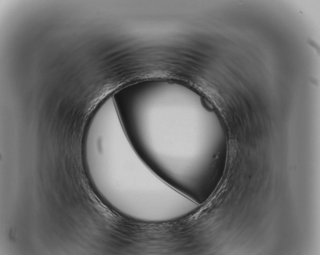 X0000097300345200802151127