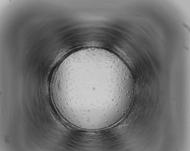 X0000097300347200802151127