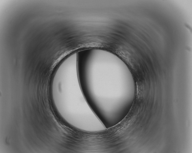 X0000097300348200802151127