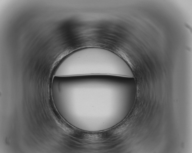 X0000097300349200802151127