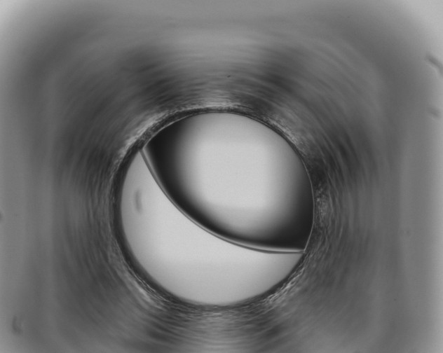 X0000097300350200802151127