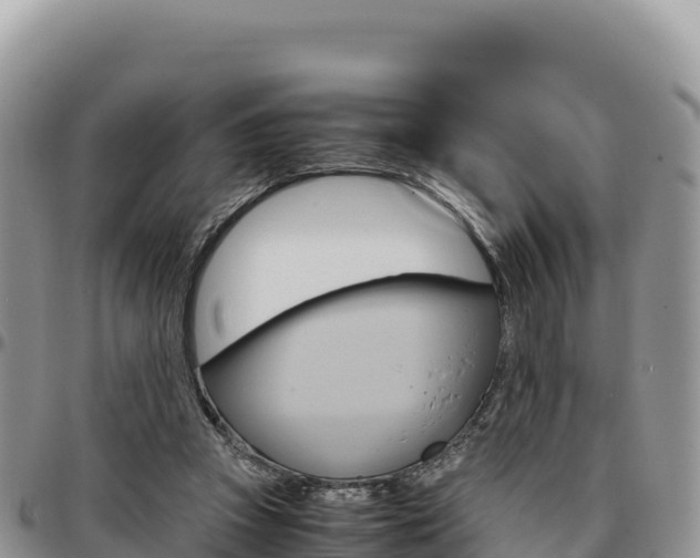 X0000097300353200802151128