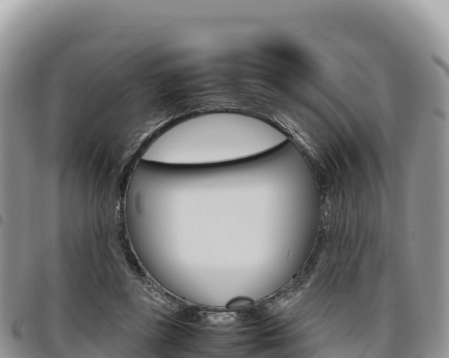 X0000097300355200802151128