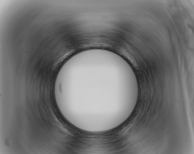 X0000097300356200802151128