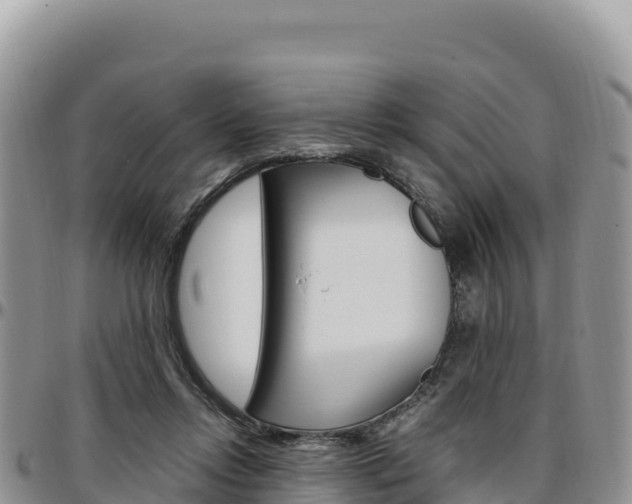 X0000097300358200802151128
